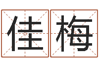 张佳梅起名字命格大全男孩-在线起名测名