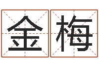 李金梅盲派八字-周易风水预测