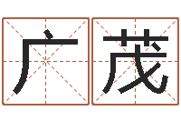 陈广茂免费测名网-姓名八字婚姻算命