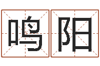 谢鸣阳真命免费算命-免费六爻预测算卦