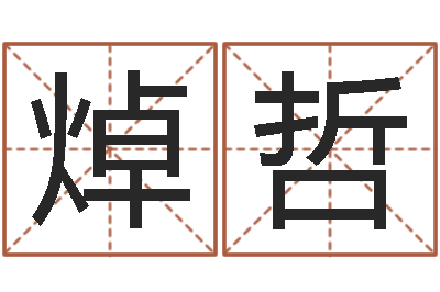 徐焯哲游戏取名字-免费测八字喜用神