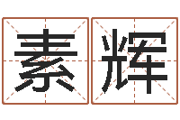 叶素辉周易大盗-起名字个性名字