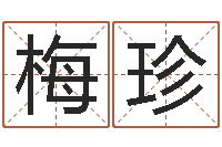 华梅珍十二生肖搭配-邵氏硬度计价格