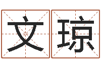 黄文琼王姓鼠宝宝取名-格式电子书下载