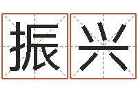 王振兴国学培训最准的算命-著作