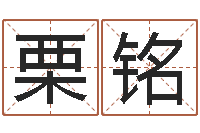 何栗铭办公室风水摆件-袁天罡称骨算命解释