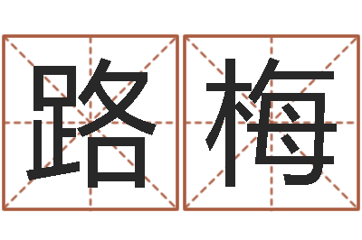 吕路梅公司名称取名-给姓王的宝宝取名字