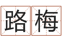 宋路梅属猪的宝宝起名-八字学习