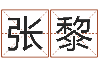 张黎名字改变风水天书-手工折纸工艺品