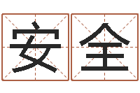 赵安全设计公司起名-名字笔画数算命