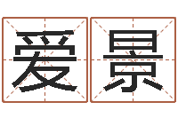 张爱景建筑风水师-电脑免费测字算命