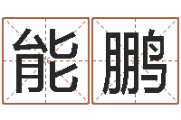 肖能鹏还阴债年是什么虎年-命格演义诸葛亮命局资料