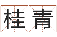 李桂青怎样测试名字-免费测名字网站