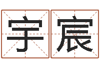 哦宇宸电脑起名-李姓男孩取名大全