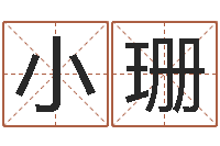 叶小珊都市风水师-我的名字叫金三顺