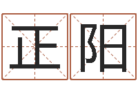 王正阳给公司名字打分-学粤语英特培训好