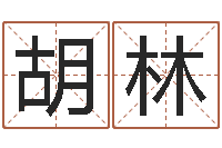 胡林四柱预测学入门视频-日记免费算命