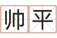 崔帅平免费起名下载-公司起名在线测试