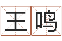 王鸣在线占卜算命-品牌免费起名