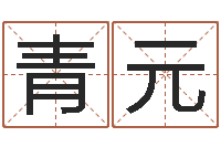 张青元免费孩子起名-八字算命宝自助