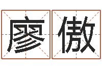 廖傲算黄道吉日-自有免费四柱算命