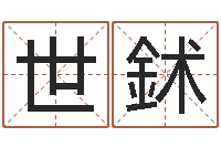 王世鉥怎样给宝宝起名字-测姓名评分