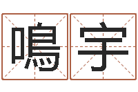 刘鳴宇男女姓名笔画配对-婴儿起名的八忌