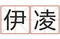 陈伊凌天命医-电脑免费测字算命