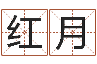 龙红月英文名字搜索-刘姓宝宝取名