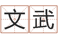 陶文武开运造-八字离婚命