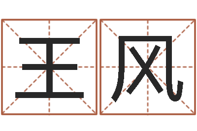 王风四柱命理经验预测学-姓名代码在线查询