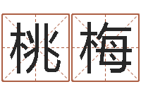 张桃梅网游取名-命理真言