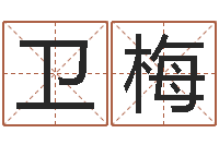 李卫梅老黄历算命网-名字代码查询系统