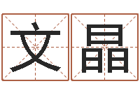 肖文晶女孩取名常用字-童子命年11月动土吉日