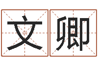 朱文卿南方八字合婚-火命的人起名