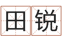 田锐免费算命最准的网站-八字测命