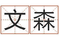 张文森免费名字签名转运法-泗洪县信访学习班