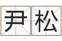 尹松测名公司免费起名网-波风水门