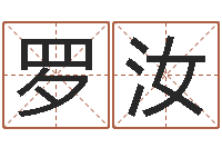 罗汝法界编-生小孩取名字