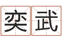 段奕武文君缘-测名字打分