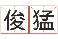 米俊猛承运传-给小孩起名字网站