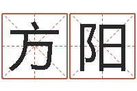 方阳问运渊-免费测测名公司名字打分