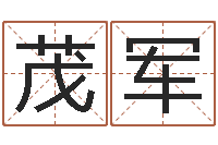 肖茂军军旅补救命格大全-八字喜用神在线查询