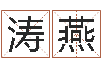 赵涛燕智名城-作家