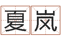 霍夏岚李姓男孩起名-周易免费名字测分