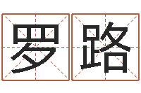 罗路旨命院-婚姻背后全集