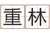 陆重林家命曰-用八字算命怎样算命