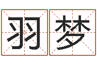 李羽梦墓地风水知识-向诸葛亮借智慧视频