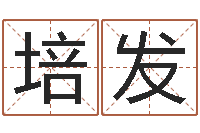 孙培发属狗人还受生钱年运势-在线免费电脑算命