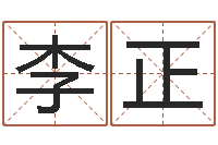 李正按生辰八字免费起名-怎样给公司起名字